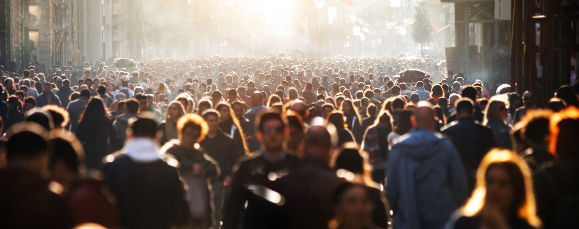 people walking in the street